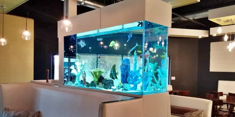 Aquarium Consultancy, Pool Windows & Custom Aquariums
